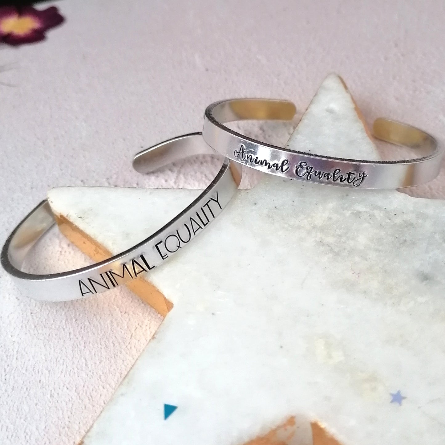 Animal Equality UK Charity Bracelet