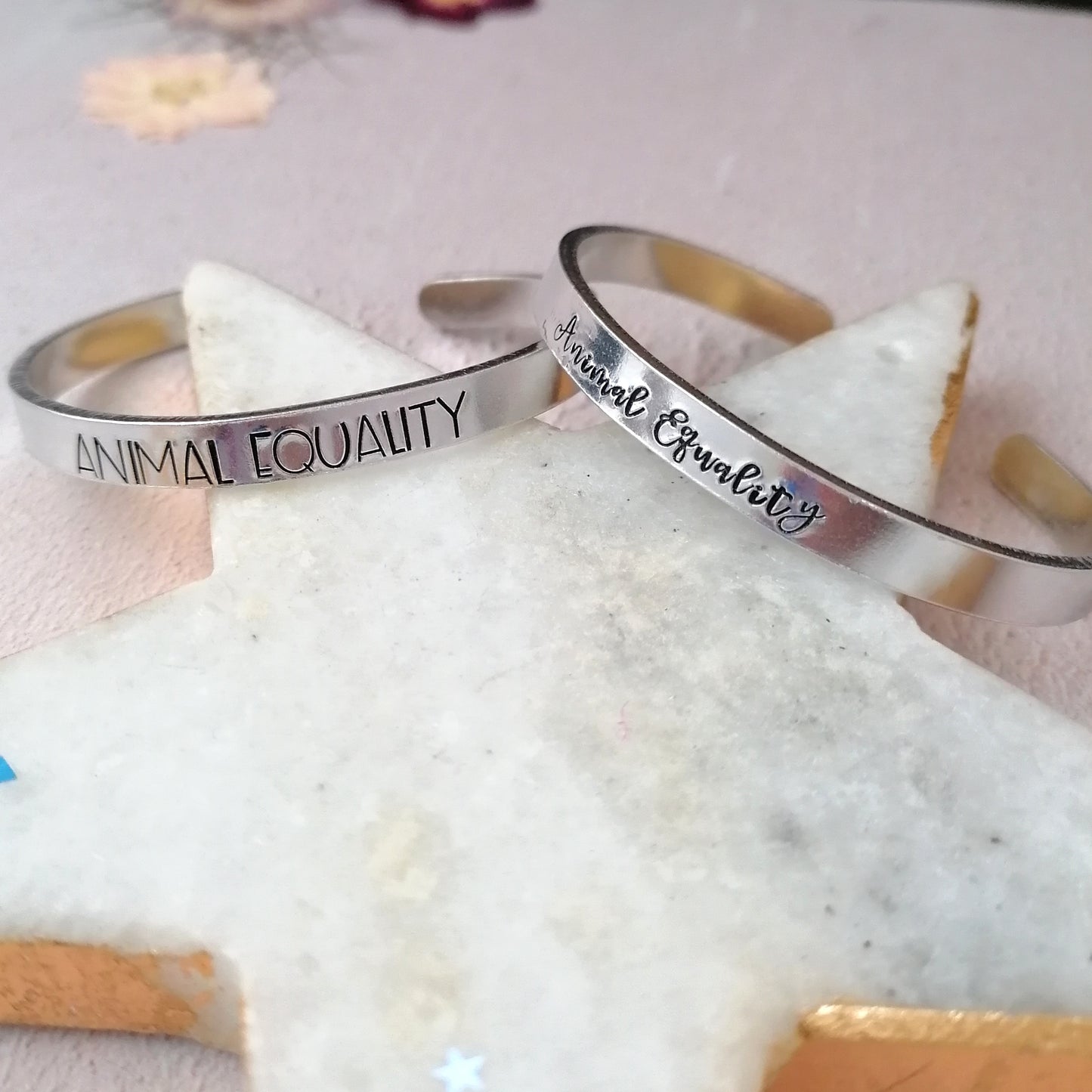 Animal Equality UK Charity Bracelet