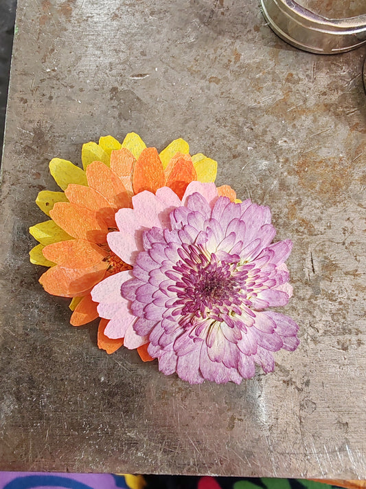 Chrysanthemum ring