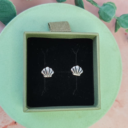 Clam Shell Stud Earrings