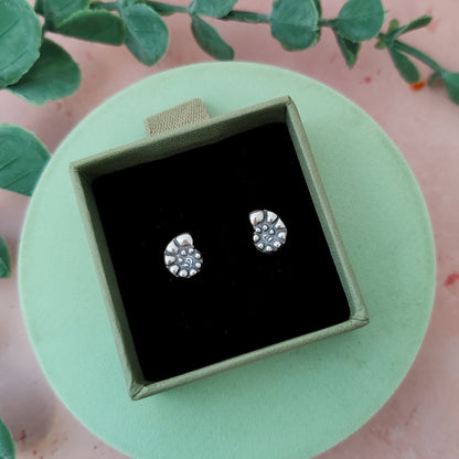 Ammonite Stud Earrings