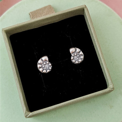 Ammonite Stud Earrings