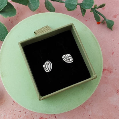 Tellin Shell Stud Earrings