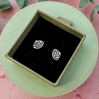 Tellin Shell Stud Earrings
