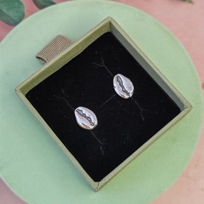 Cowrie Shell Stud Earrings