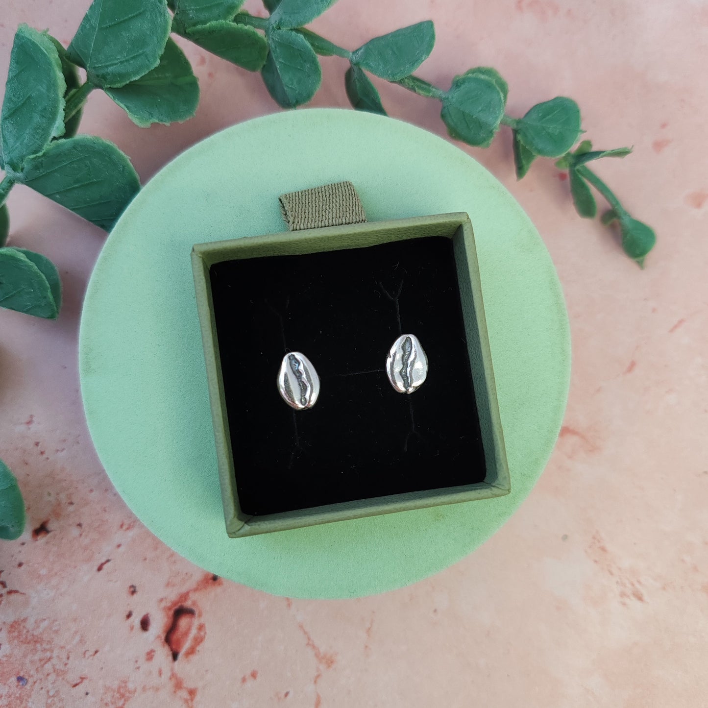Cowrie Shell Stud Earrings