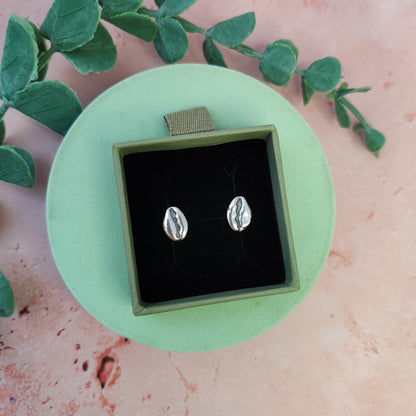 Cowrie Shell Stud Earrings