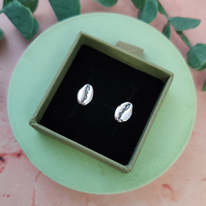 Cowrie Shell Stud Earrings