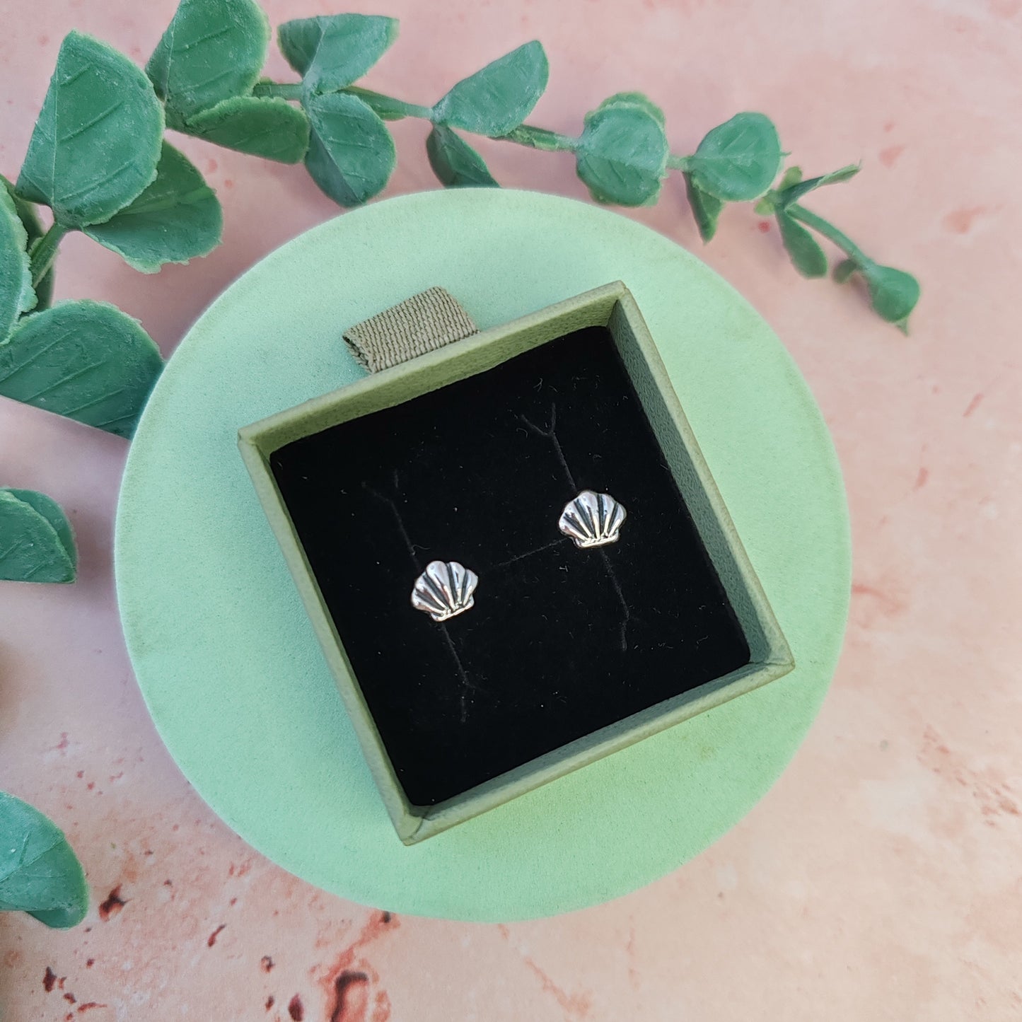 Clam Shell Stud Earrings