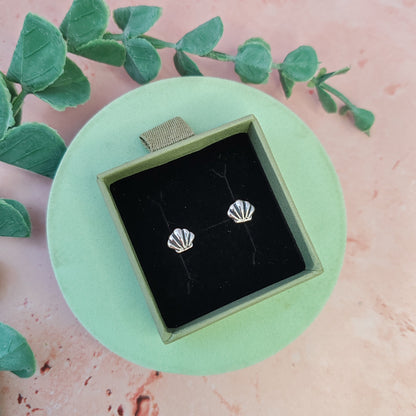 Clam Shell Stud Earrings