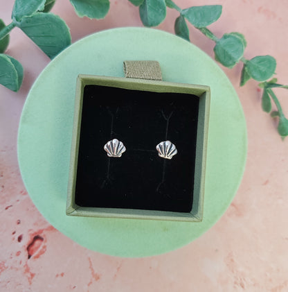 Clam Shell Stud Earrings