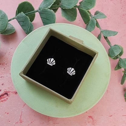 Clam Shell Stud Earrings