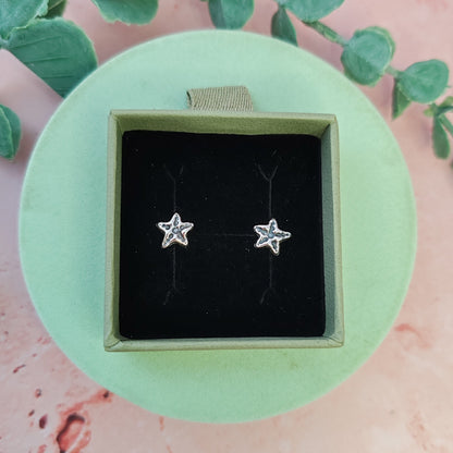 Starfish Stud Earrings