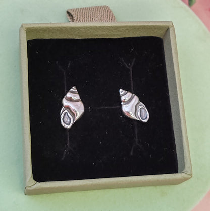 Conch Seashell Stud Earrings