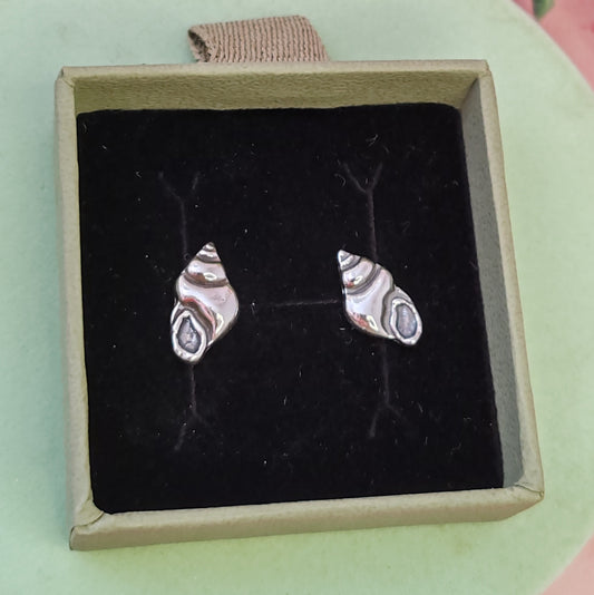 Conch Seashell Stud Earrings