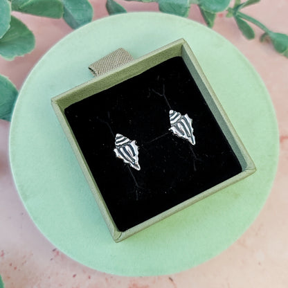 Spiny Conch Seashell Stud Earrings