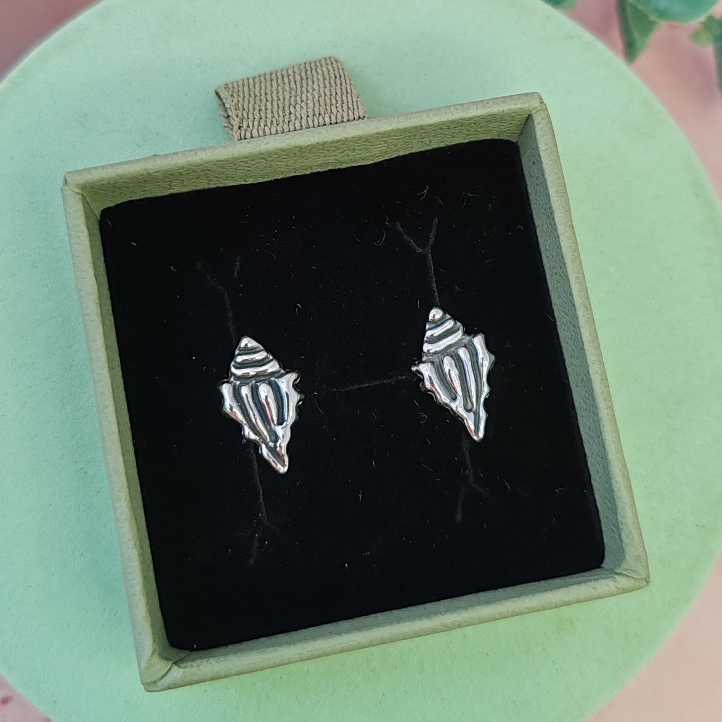 Spiny Conch Seashell Stud Earrings