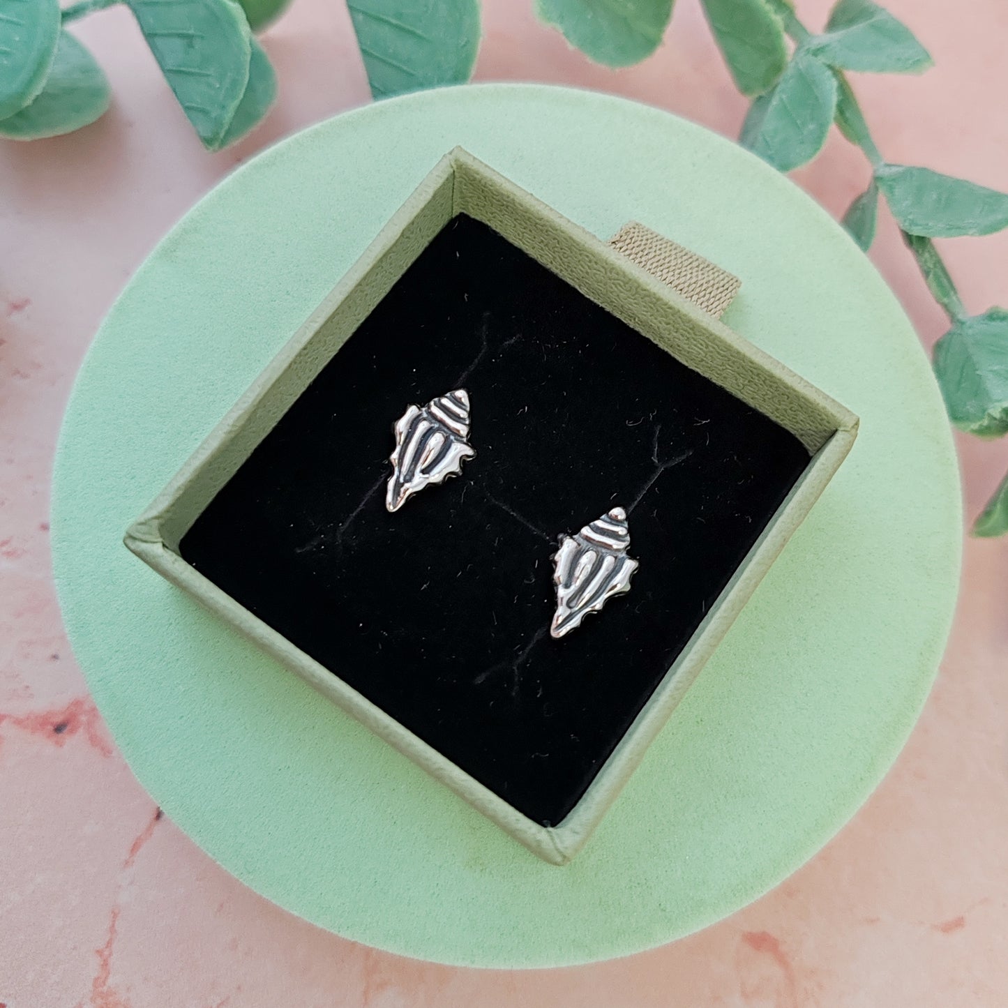 Spiny Conch Seashell Stud Earrings