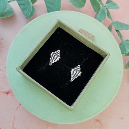 Spiny Conch Seashell Stud Earrings