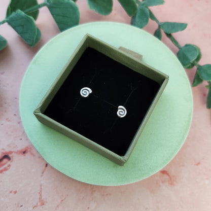 Spiral Seashell Stud earrings
