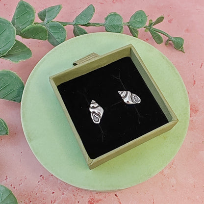 Conch Seashell Stud Earrings