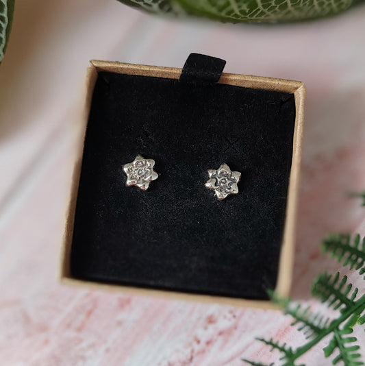 Forget-me-not Stud Earrings