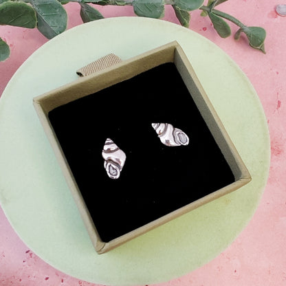 Conch Seashell Stud Earrings