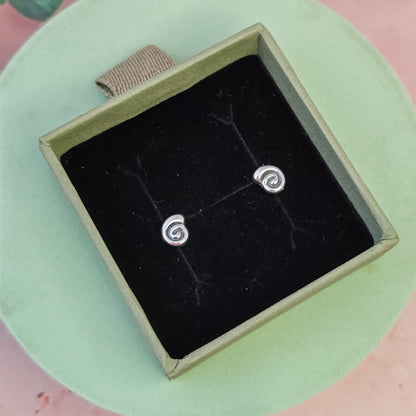 Spiral Seashell Stud earrings